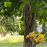 Guia In Valdreu Casa vacanze Braga