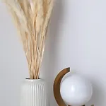 Guia In Valdreu * Braga