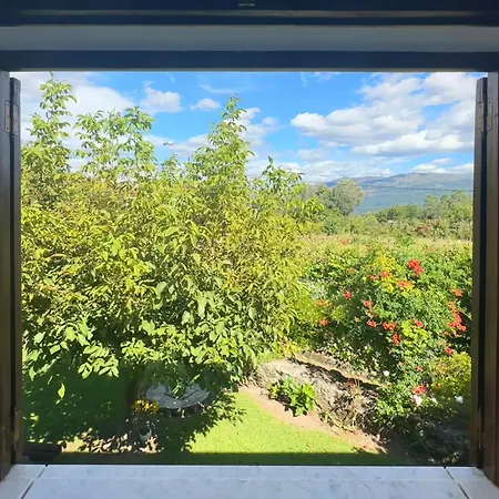 Guia In Valdreu Braga