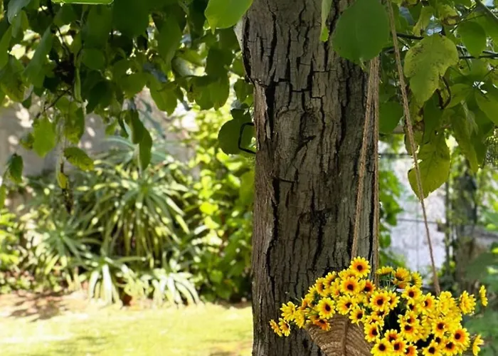 Guia In Valdreu Сasa de vacaciones Braga