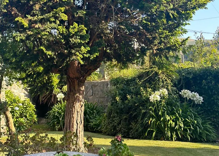 Guia In Valdreu Braga