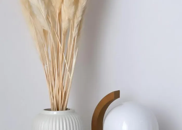 Guia In Valdreu * Braga