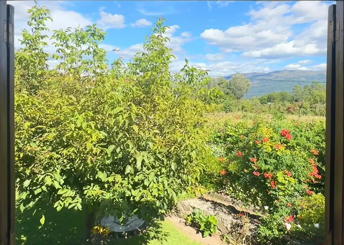 Guia In Valdreu Braga